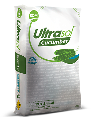 Ultrasol Cucumber Hydroponica  10,8-8,8-38 + 2,4MgO + TE
