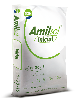 Amilsol Inicial – Colombia