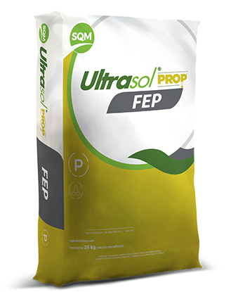 Ultrasol FEP PROP