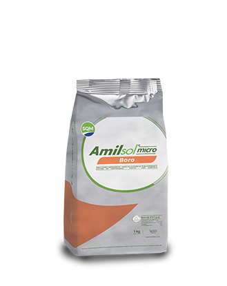 Amilsol micro Boro – Colombia