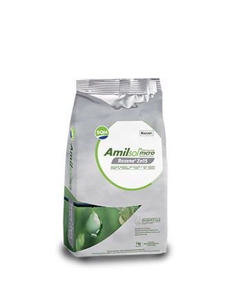 Amilsol micro Rexene Zn15 – Colombia