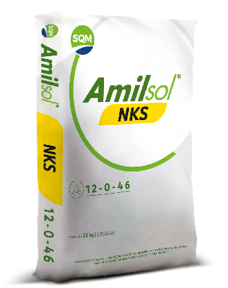Amilsol NKS – Colombia