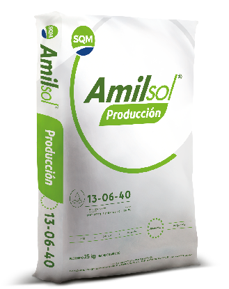 Amilsol® Producción