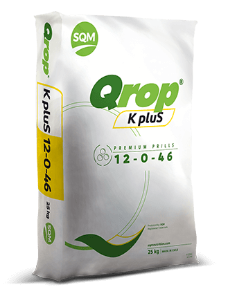 Qrop K pluS – Europe
