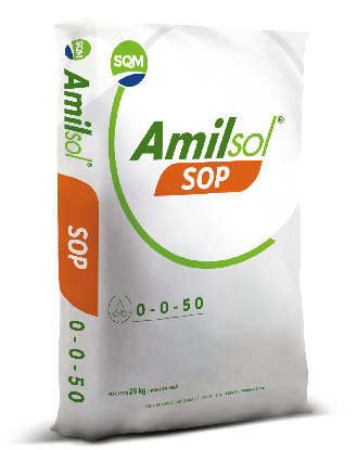 Amilsol SOP – Colombia