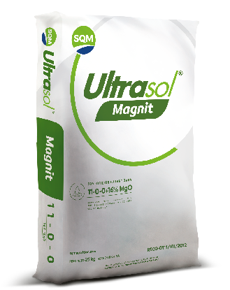 Ultrasol Magnit