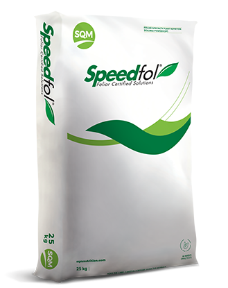 Speedfol® Pecan SP