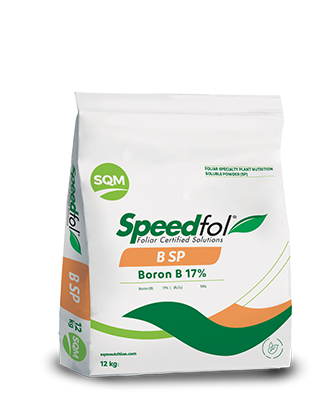 Speedfol B SP – Southeast Asia