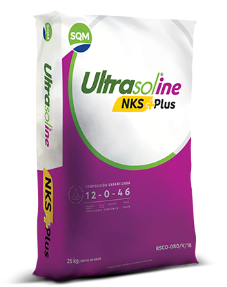 Ultrasoline NKS + Plus – México