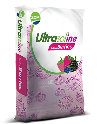 Ultrasol ine cultivo Berries – México