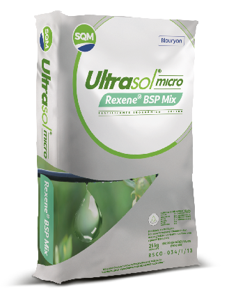 Ultrasol micro Rexene BSP Mix