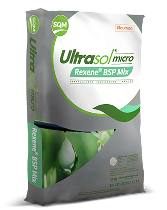 Ultrasol® micro Rexene® BSP Mix
