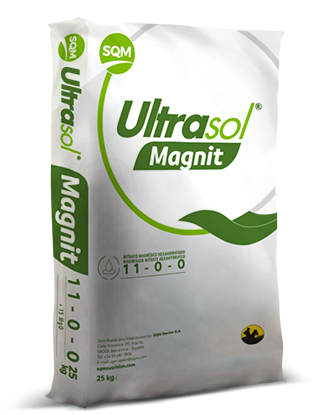 Ultrasol® Magnit